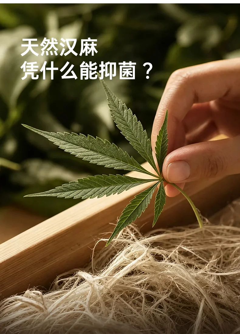 男士汉麻内裤8616无痕 · 详情资料