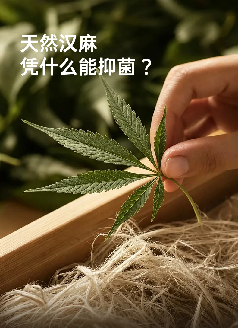 8641款车缝50S汉麻女士内衣 · 详情资料
