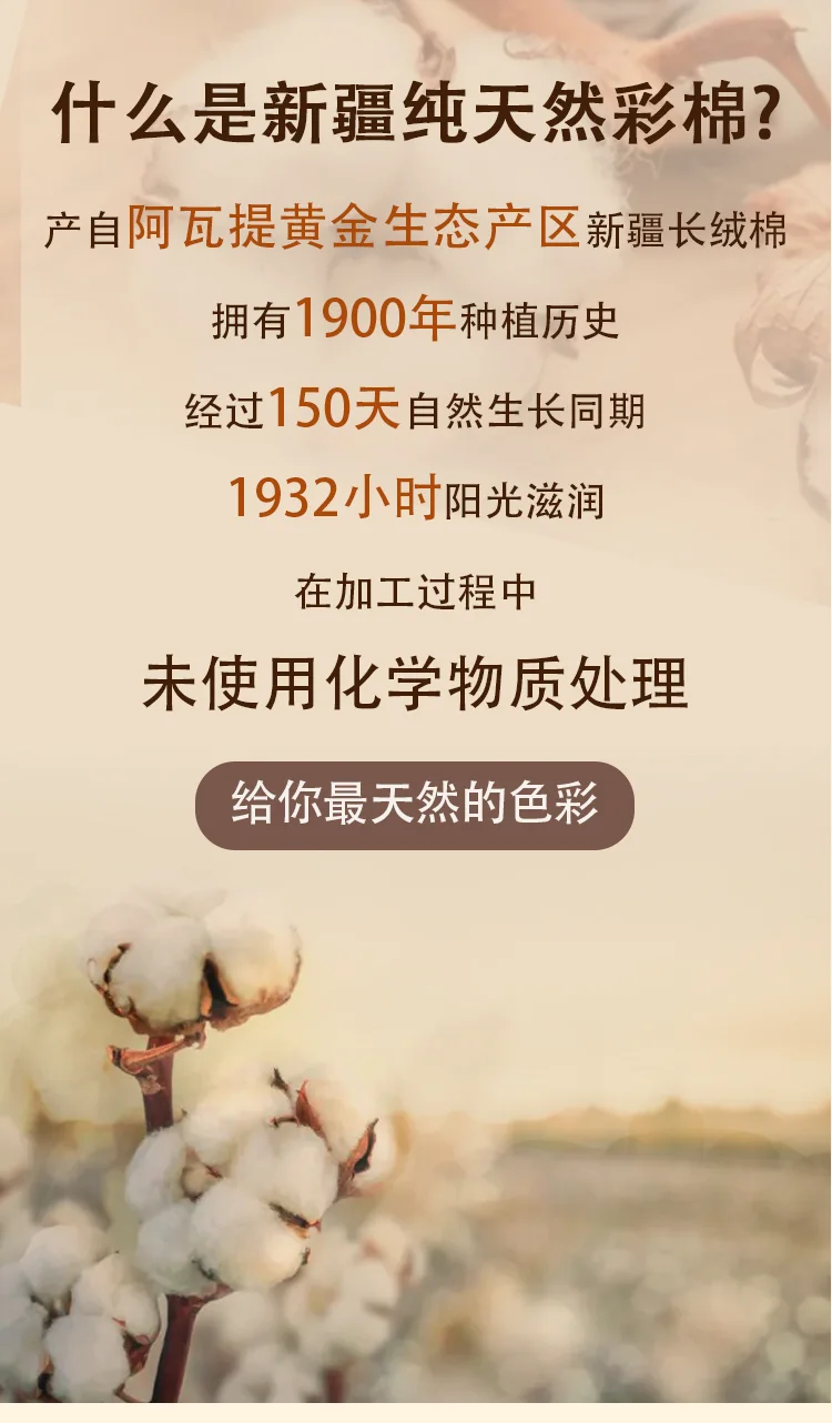 女士彩棉内裤8714 · 详情资料